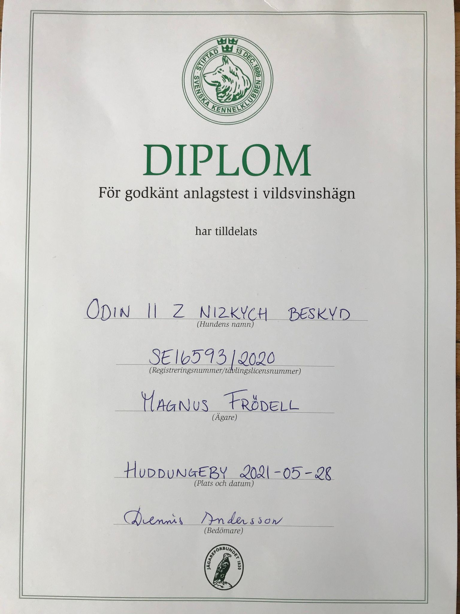 Diplom